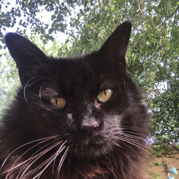 Meet your Posher, Danielle - Picture 1 of 1